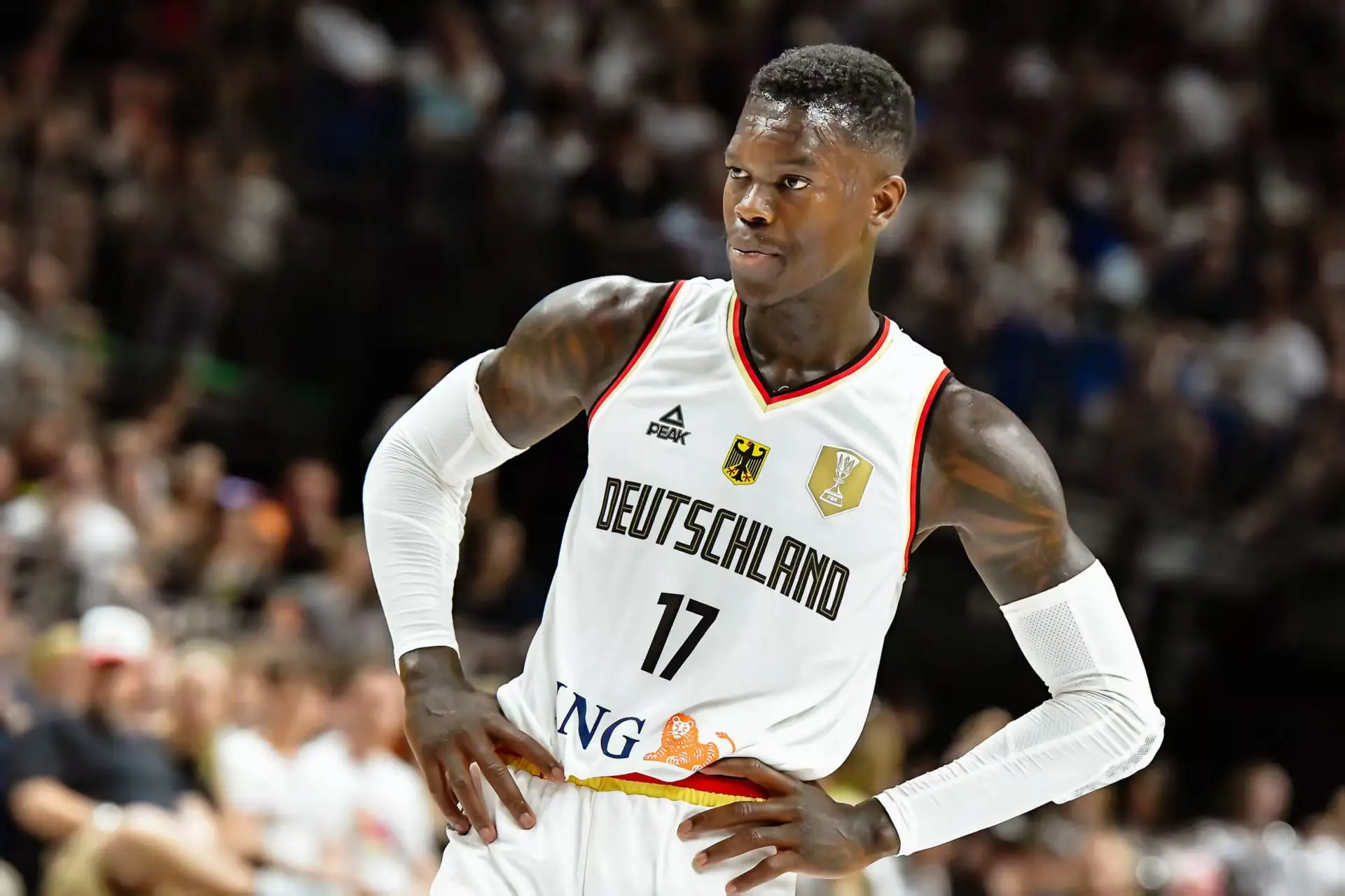 东契奇, 约基奇也只, img