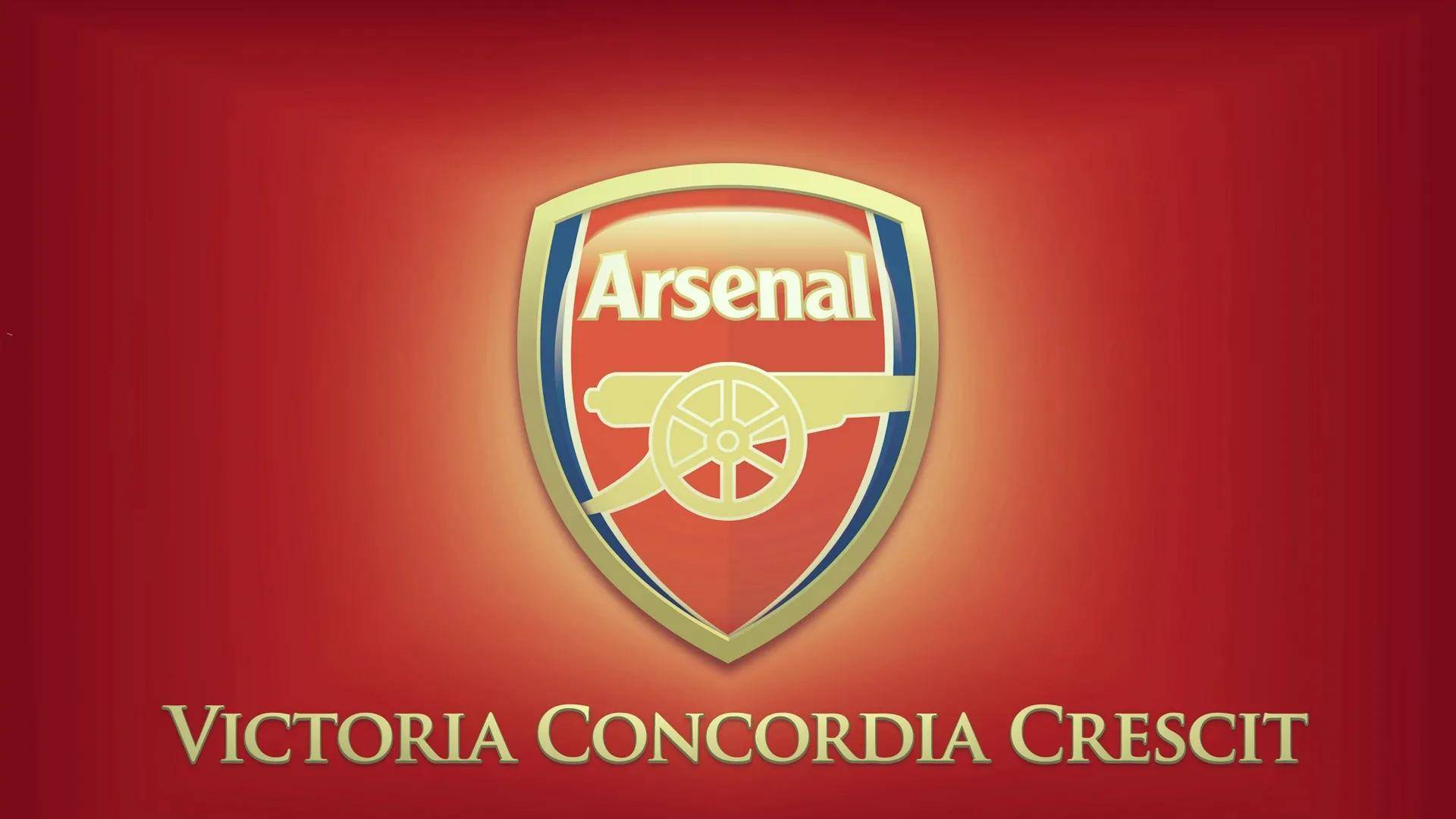 cn, 大家也期待 cn, 大家也期待