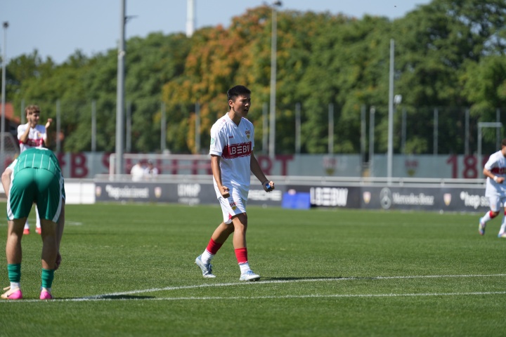 的方式不仅, src, 欢控球